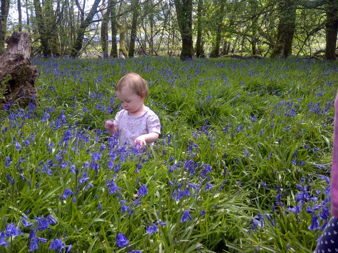 Argyll and Bute-20160515-00424