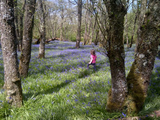 Argyll and Bute-20160515-00437