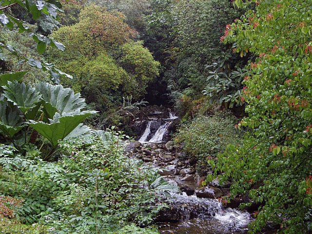 crarae_gardens_-_geograph.org.uk_-_1521682